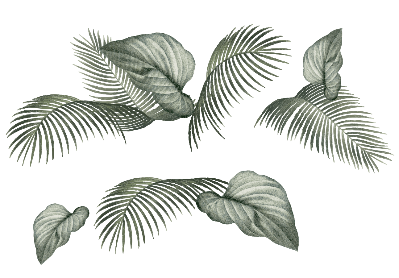 feuilles