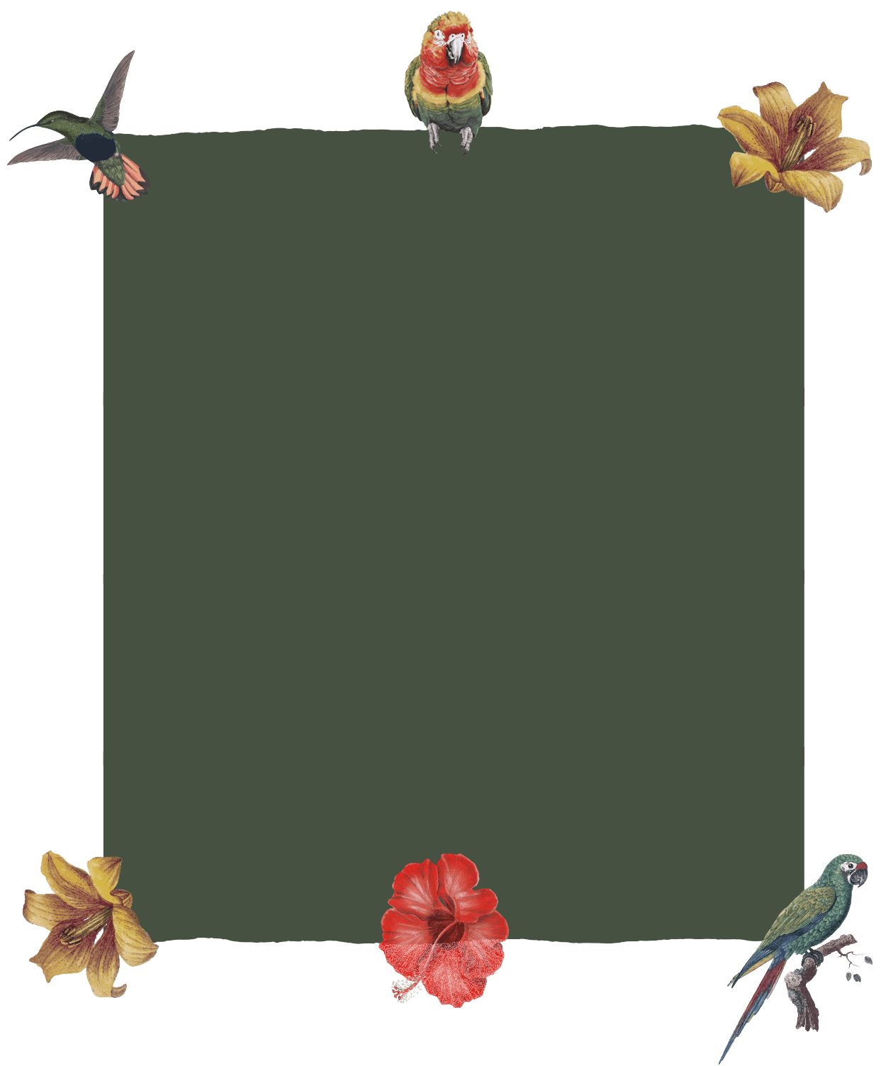 oiseau mobile v2
